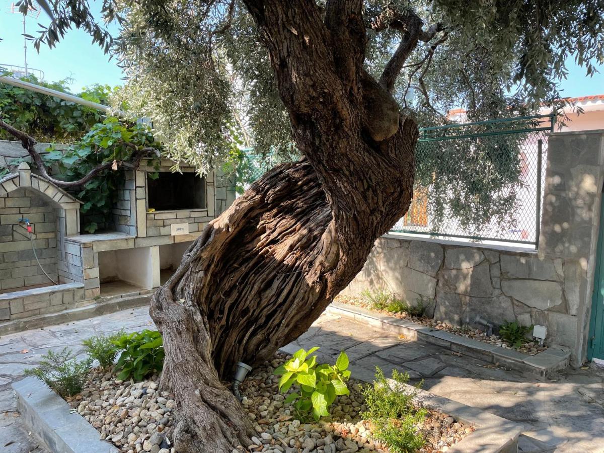 Elia & Meli Skala Kallirakhis